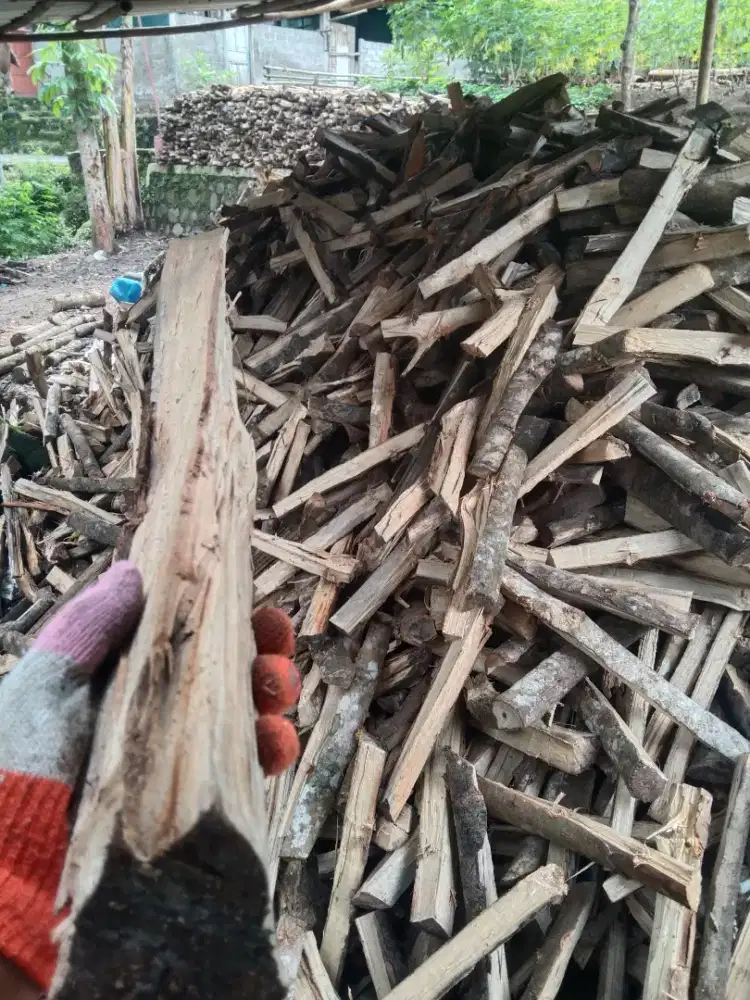 ￶kayu bakar rambutan