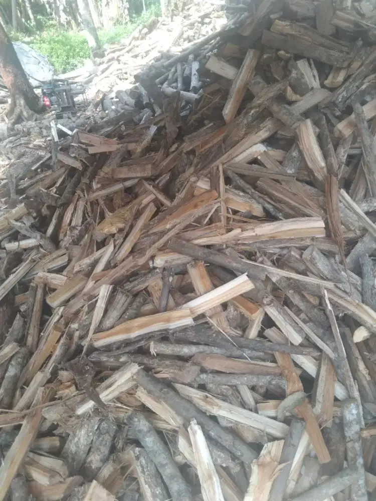 kayu pohon rambutan