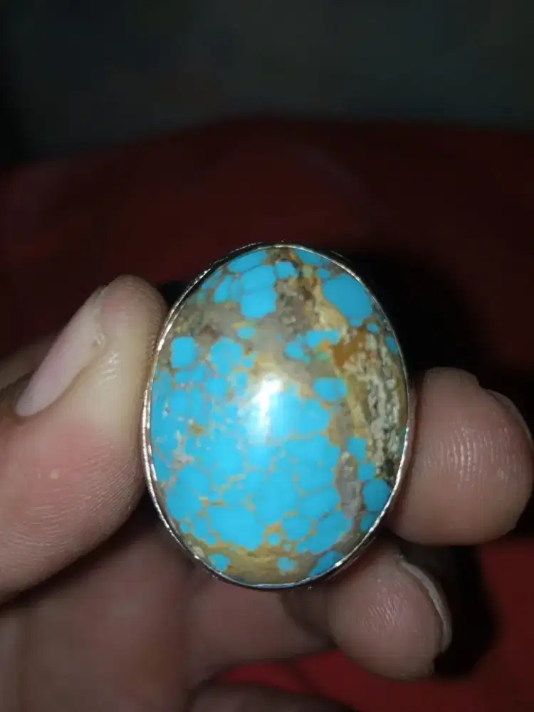 Pirus Persia urat Emas