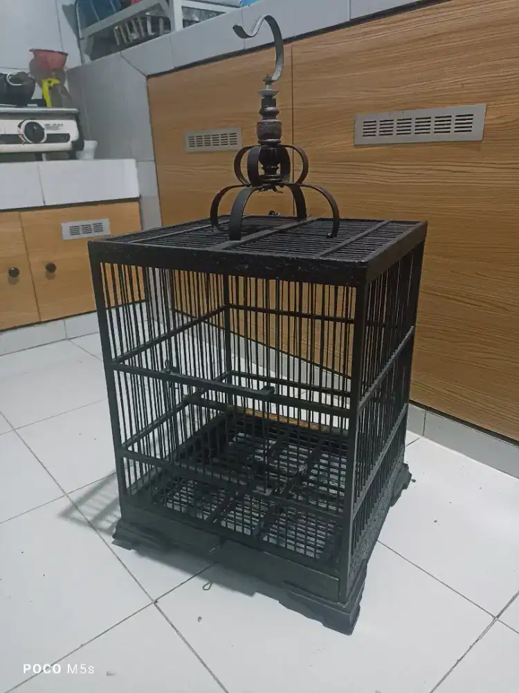 Sangkar burung blacktroth