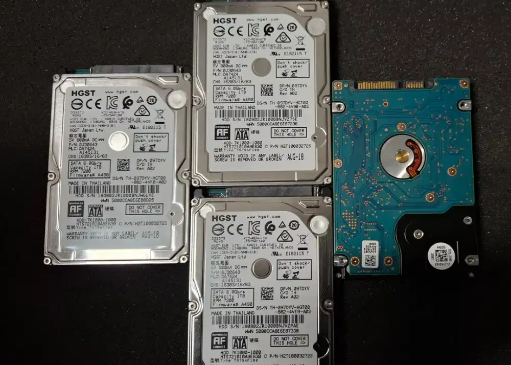 Hardisk 1TB 2.5 Inch Sentinel Sehat