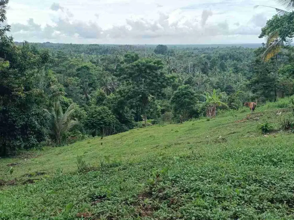 Mountain and valley view land near villa in Tabanan Bali