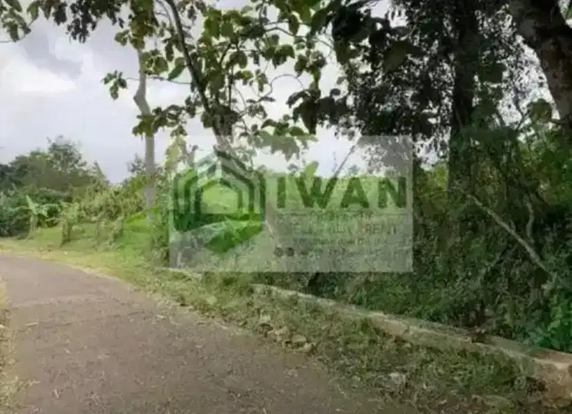 Tanah Luas & Murah Hadap Jalan Poros Desa Dengan View Sawah