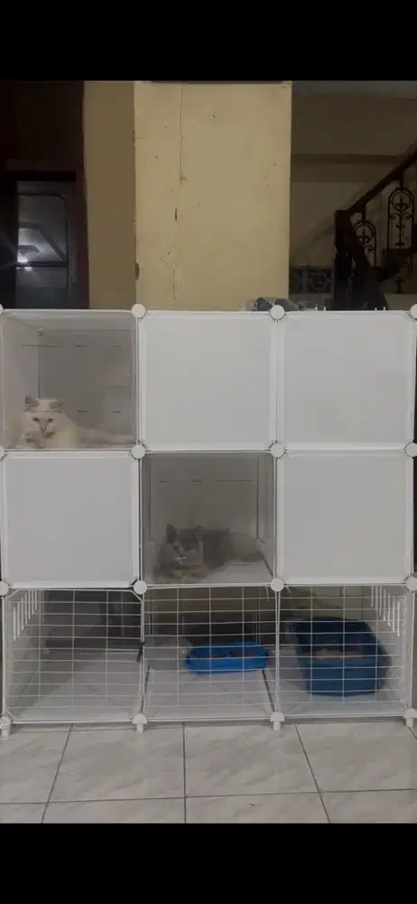 kandang kucing susun 3 tingkat