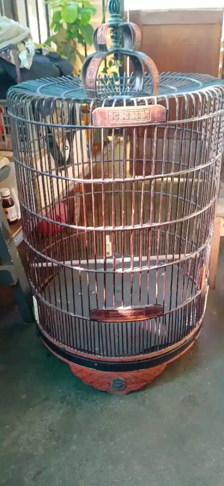 Kandang murai no 4 masih layak pakai