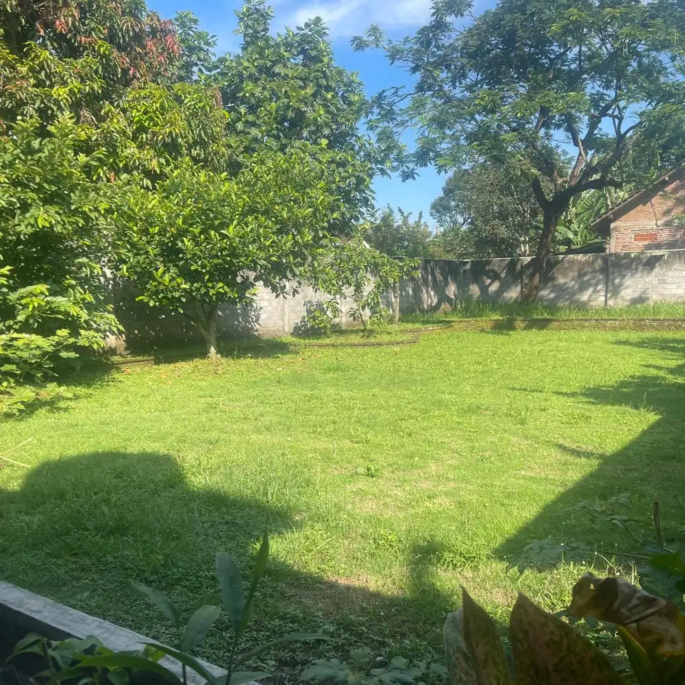 Tanah Ngantong pinggir jalan PEMDA