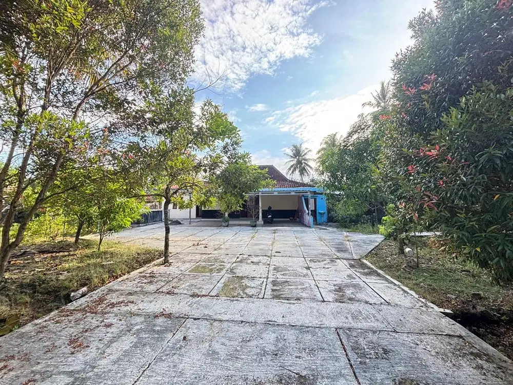 Dijual Cepat Rumah dan Tanah 865 m2 Dekat Bandara YIA!