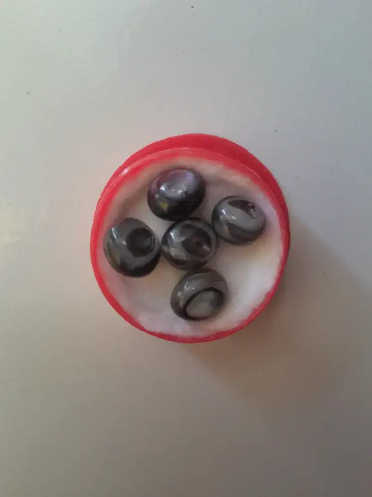 Mutiara laut kerang hitam