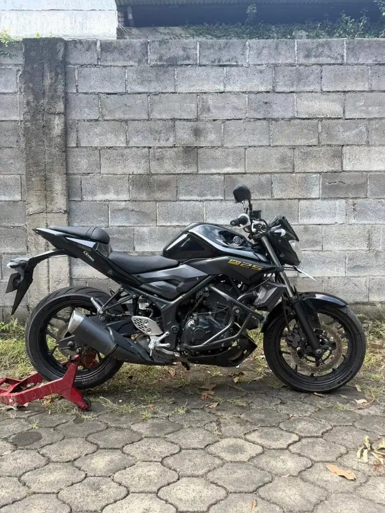 Mt 25 pemakaian sendiri