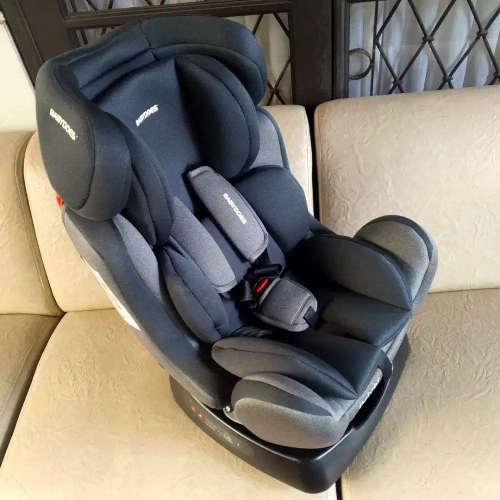 Carseat Babydoes Driver