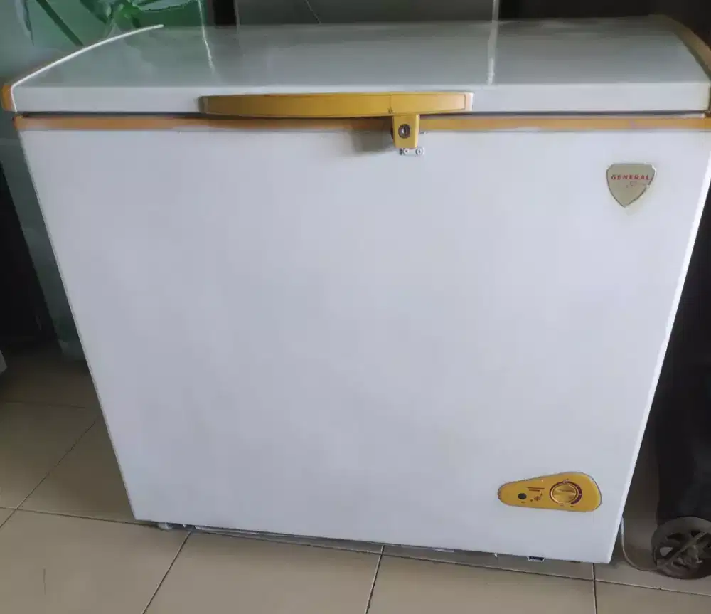 Freseer box General 230liter
