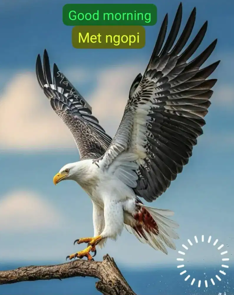 Dicari ART menginap