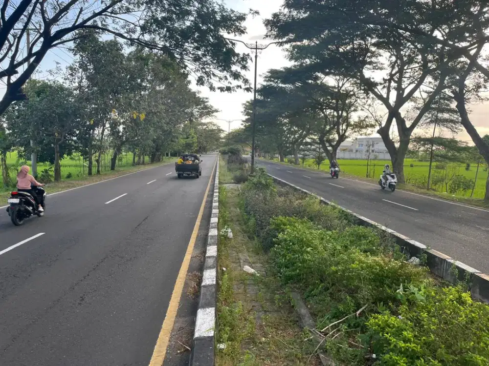 Tanah pinggir jalan bypas Gerung Kuripan Lombok barat