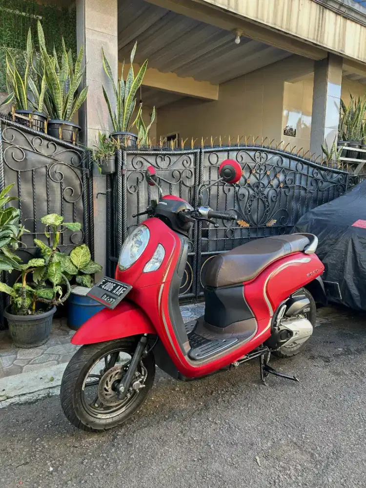 HONDA SCOOPY STYLISH
