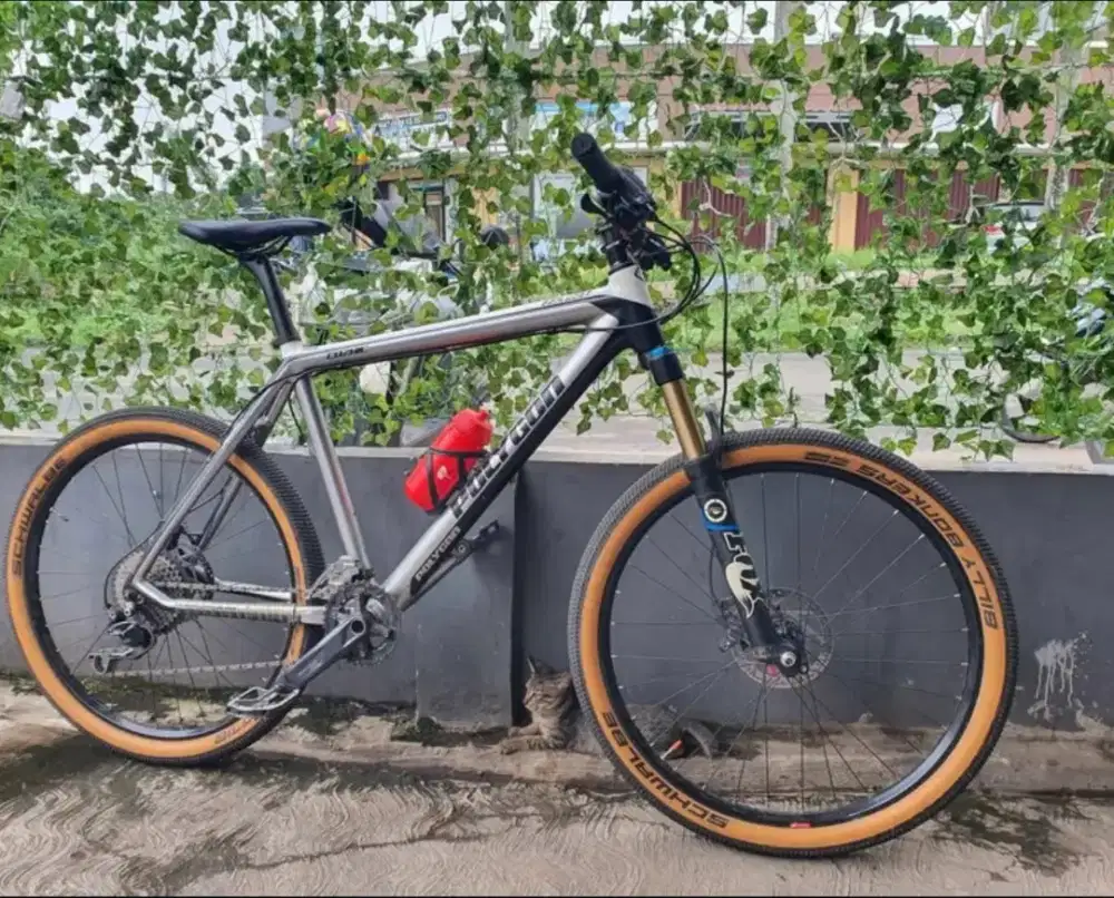 Polygon cozmic carbon