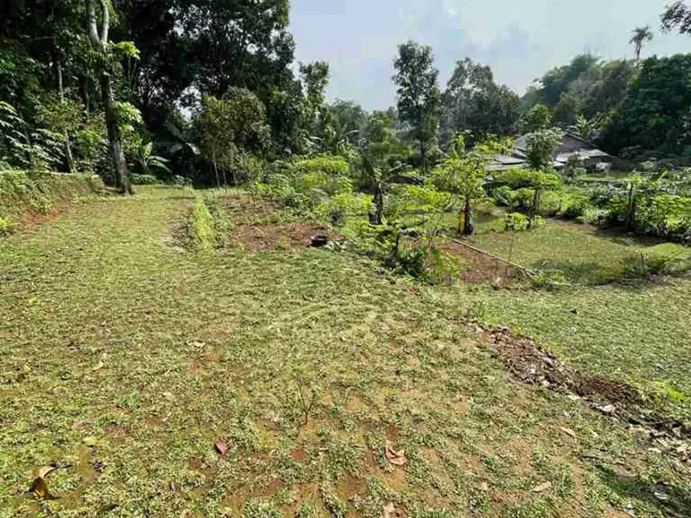 Dijual Tanah di Tamansari Ciapus, cocok untuk Investasi, Villa, Pesantren, Kebun