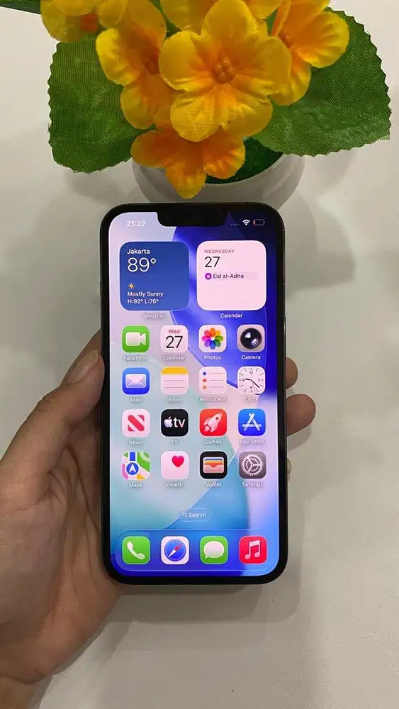 iPhone 13pro 512gb INTER