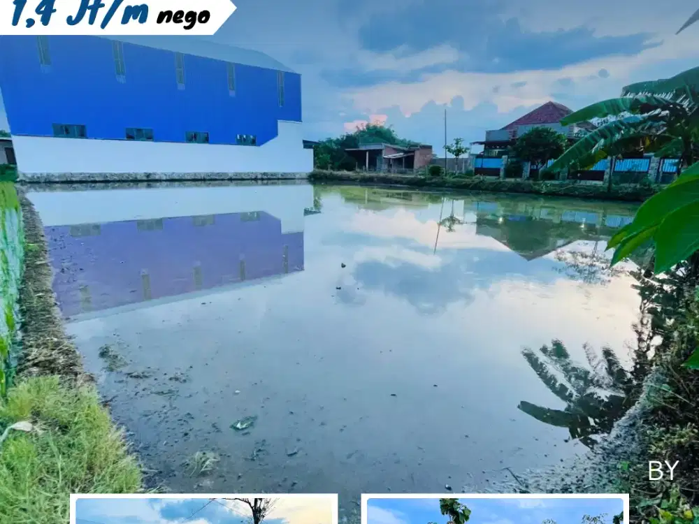 Dijual Tanah Lokasi Dibal Pandeyan