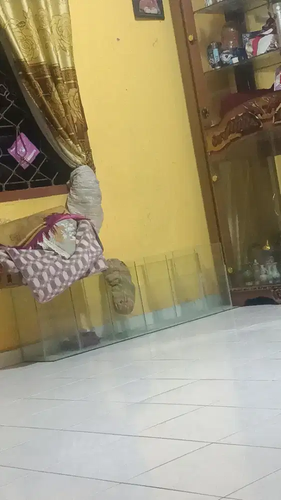 Tempat usaha buah