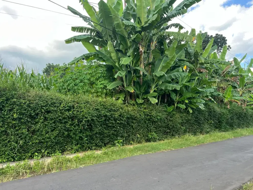 Tanah Sejuk 300Jt Cocok Rumah Tinggal Karanganyar