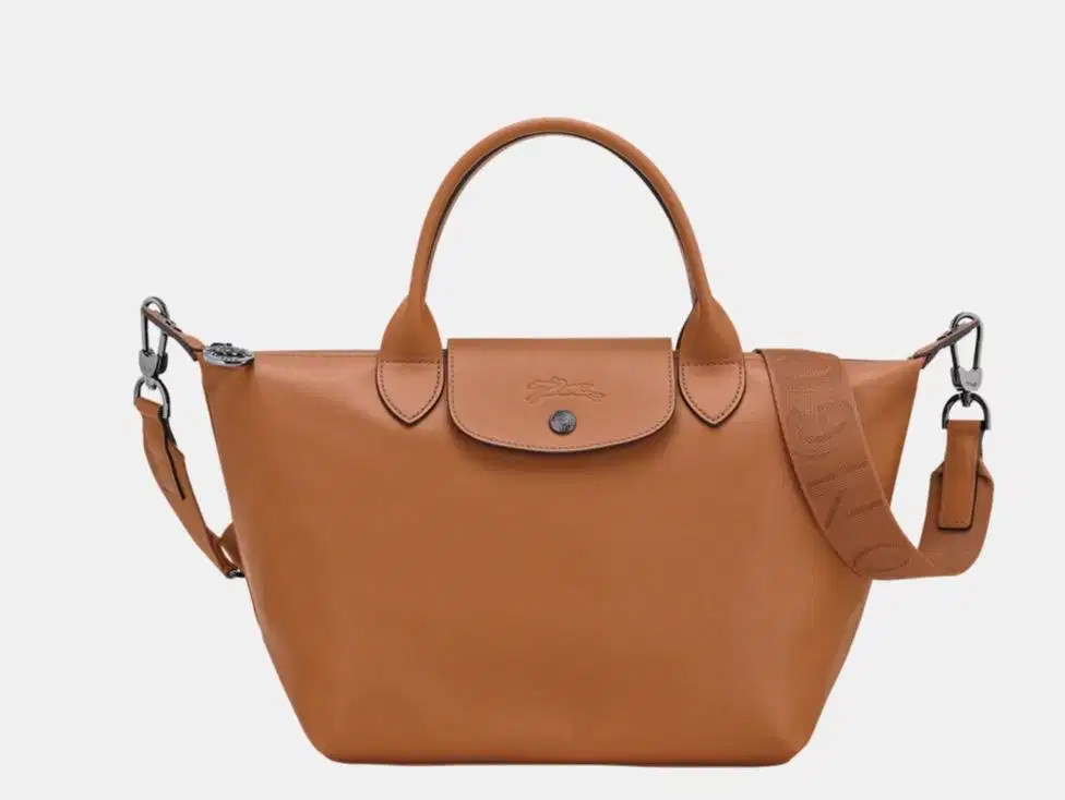Long Champ Leather Bag Le Pliage