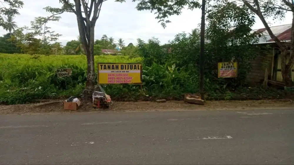 Lahan Matang 4.831m² Dekat Puskesmas & GOR Kandangan – SHM
