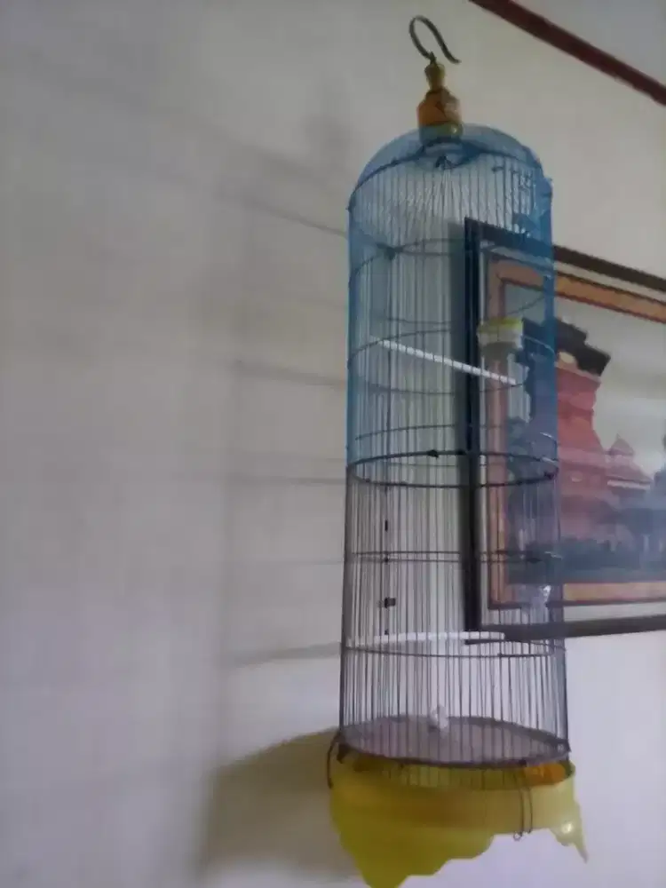 Kandang burung bisa buat love bird atau kenari branjangan
