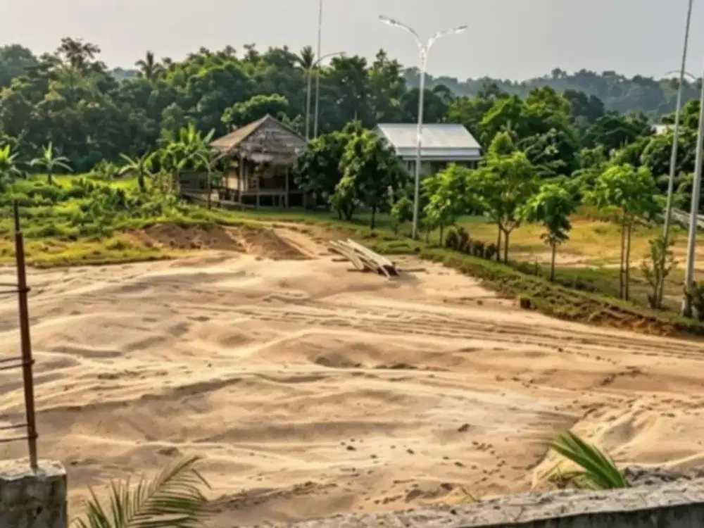 Tanah Premium 1 Hektar di Ancol Pasir, Harga Kompetitif!