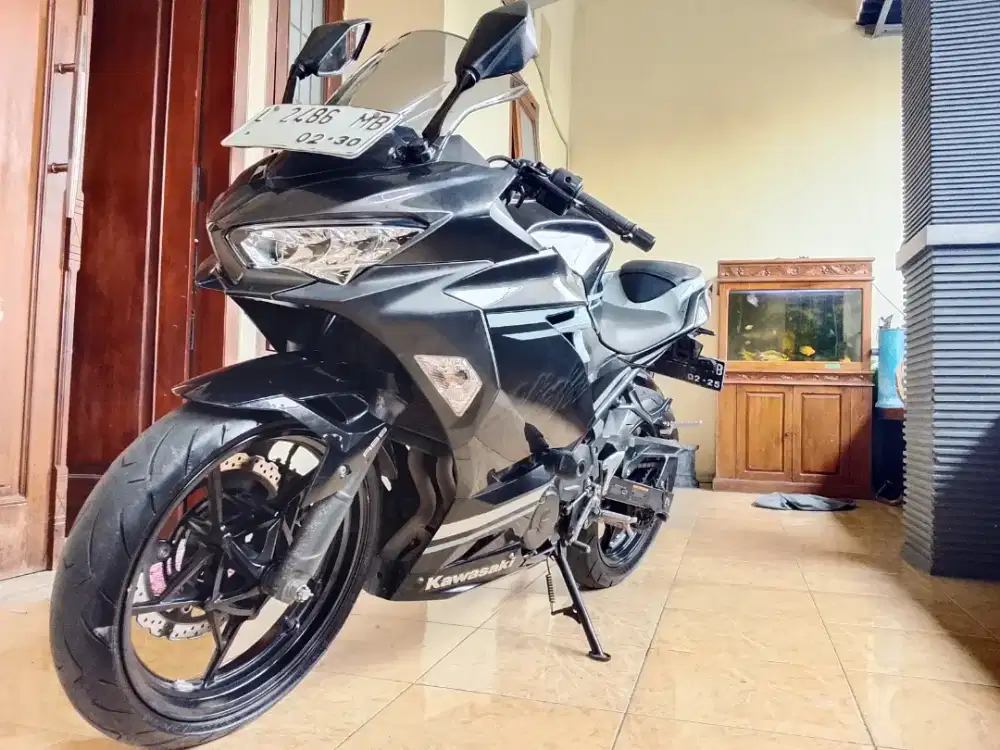 Kawasaki Ninja EX250W 2 silinder