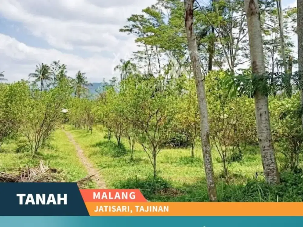 Dijual Tanah Kebun Super Luas di Jatisari Pakisaji Malang