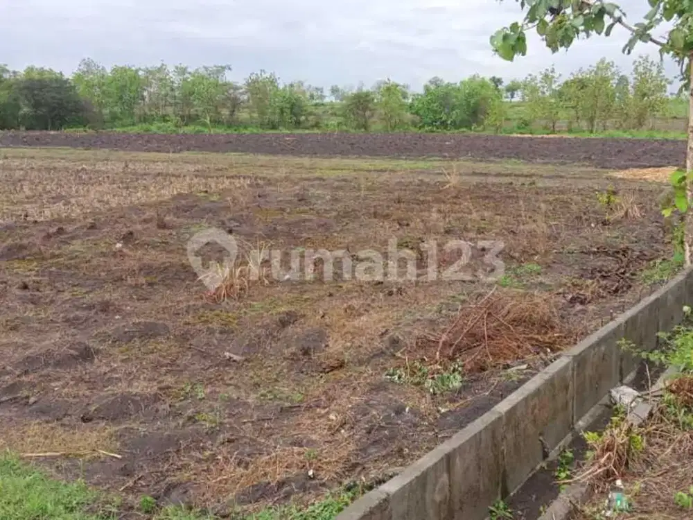 DIJUAL Tanah Strategis di Ds Katur, Gayam,Bojonegoro - Jawa Timur