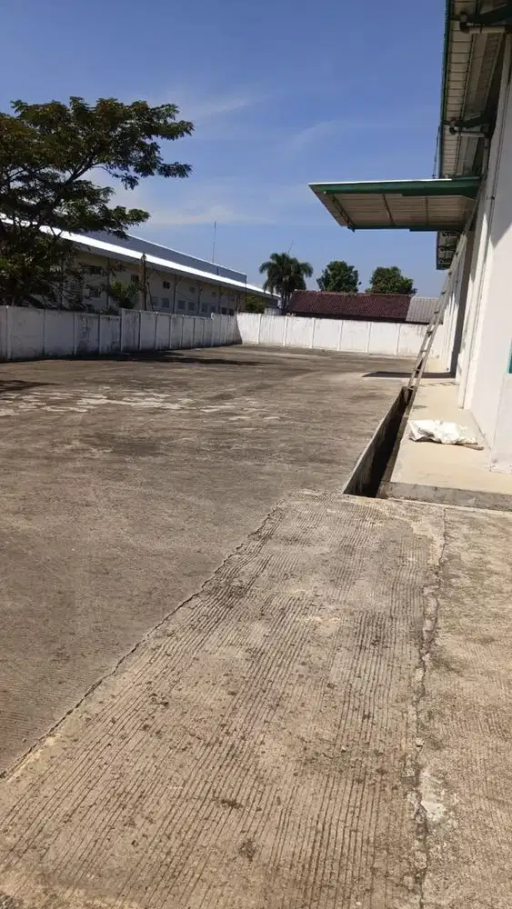 Gudang terluas dan terbaik harga dan lokasi,banyak bonus,nego banget.