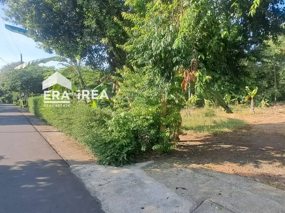 Tanah Dijual di Jogja Dekat Desa Wisata Gamplong dan Pasar Desa Gamplong