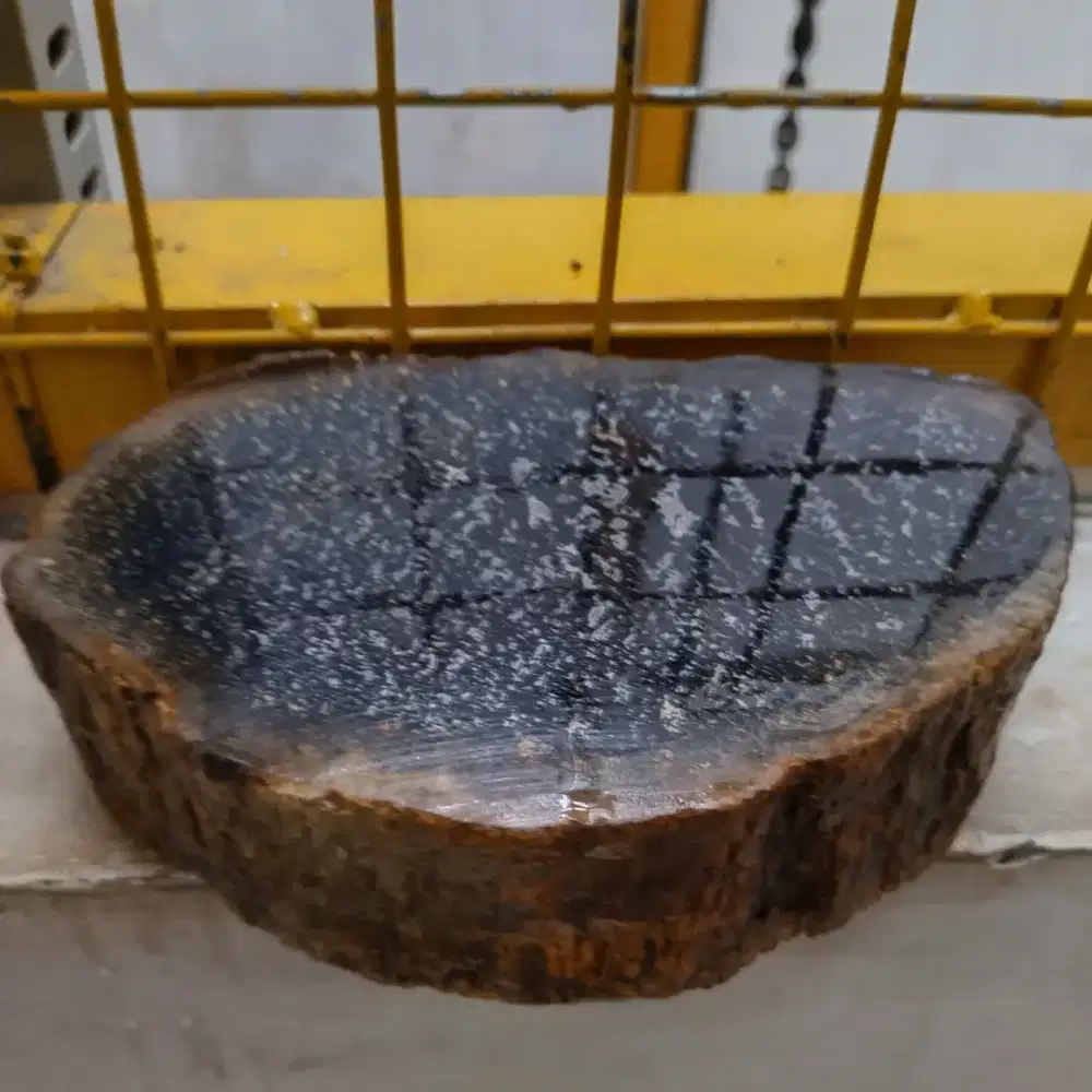 Hiasan meja pajangan batu fosil kayu biduri sepah