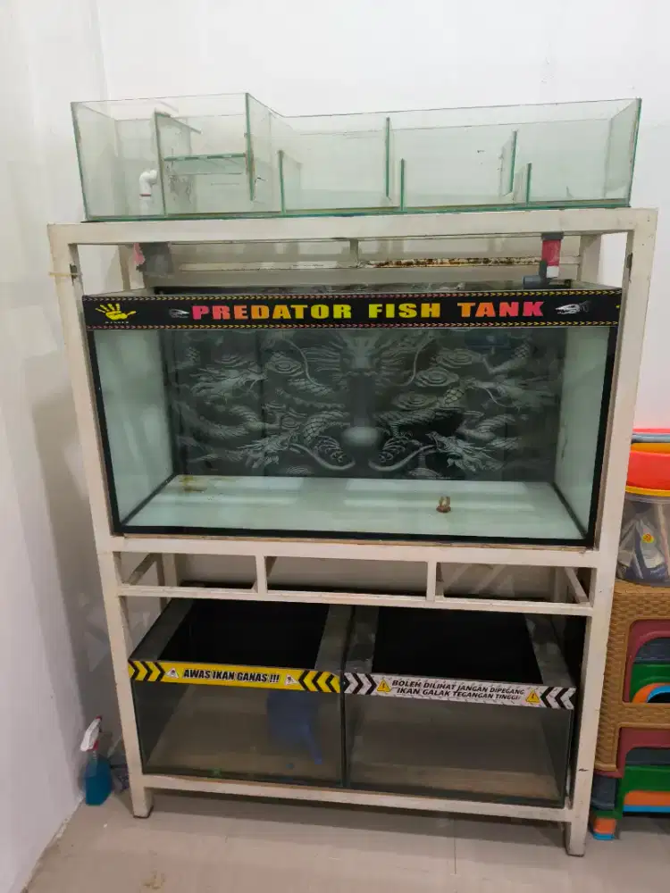 Aquarium dan rak