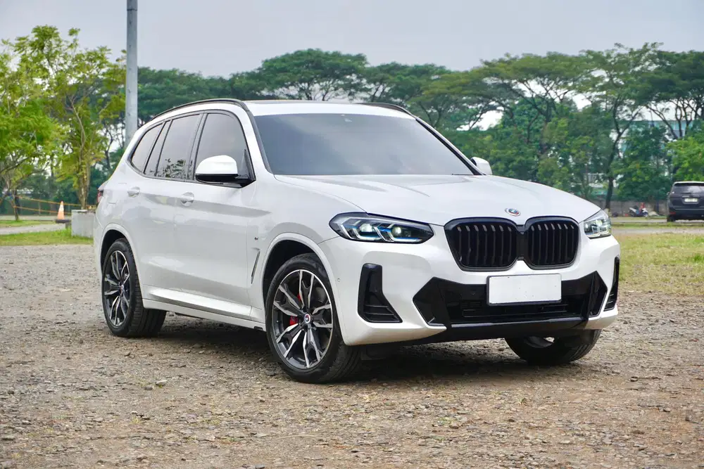 BMW X3 G01 LCI MSport  xDrive30i B48 2022/2023