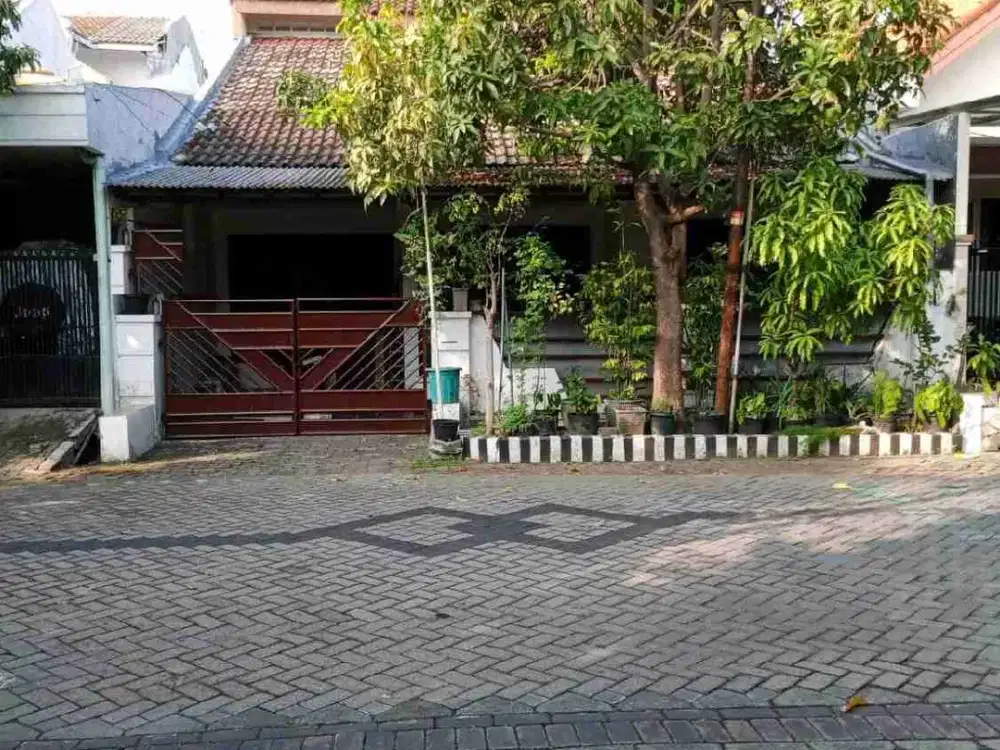 Rumah Pandugo Baru Surabaya Murah. RON.A1130