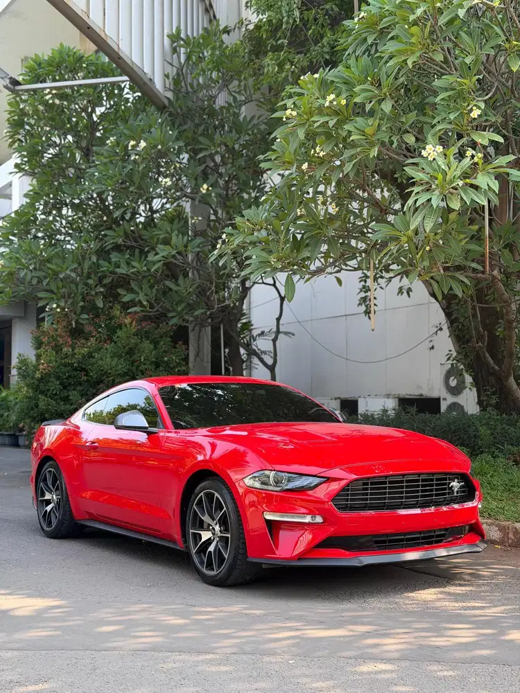 Harga : 1.150M Mustang 2.3 Ecoboost High Performance