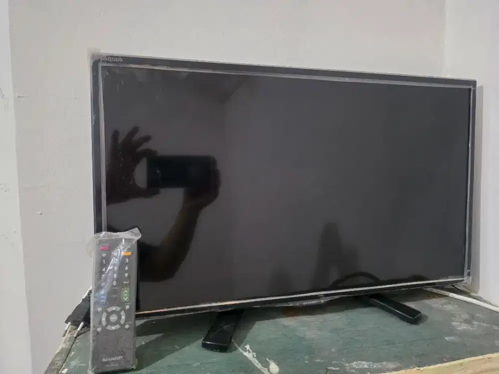 TV sharp 24 inch normal sehat