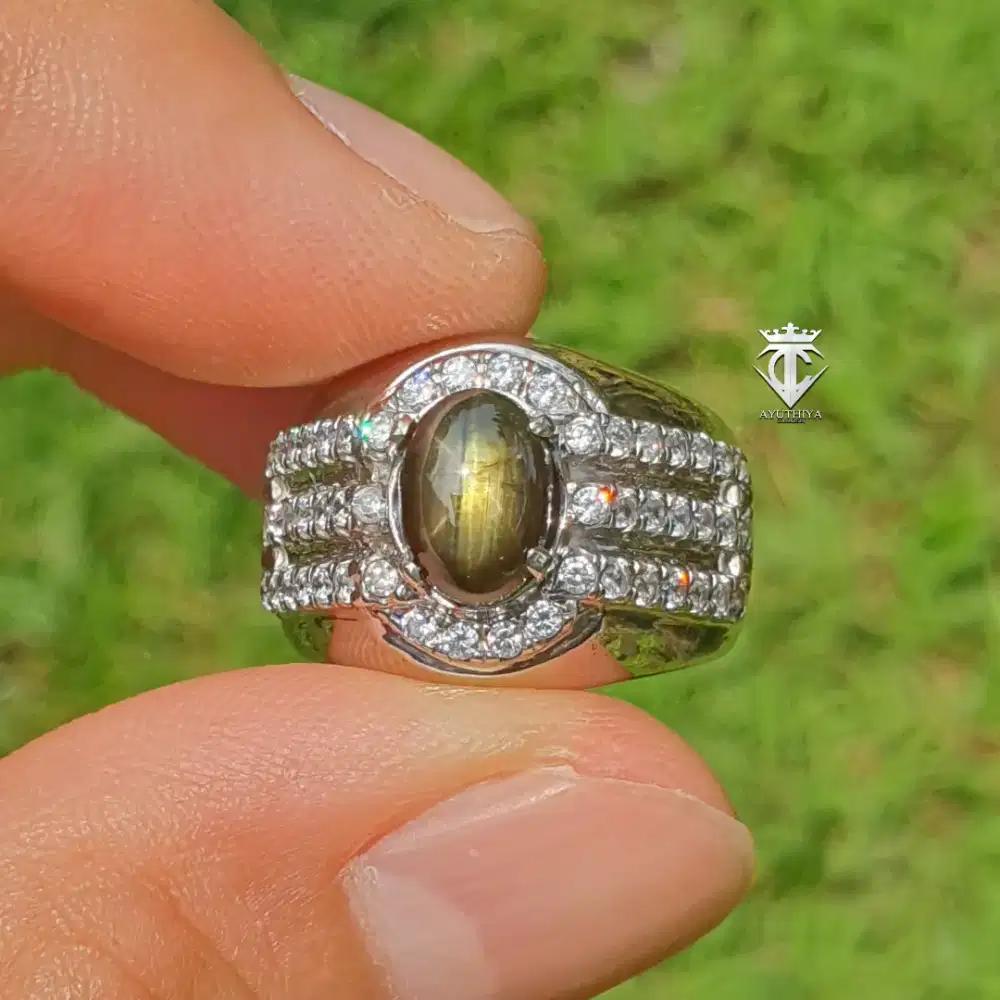 Batu Natural Golden Star Black Sapphire Thailand 2.62 Ct CGL Memo