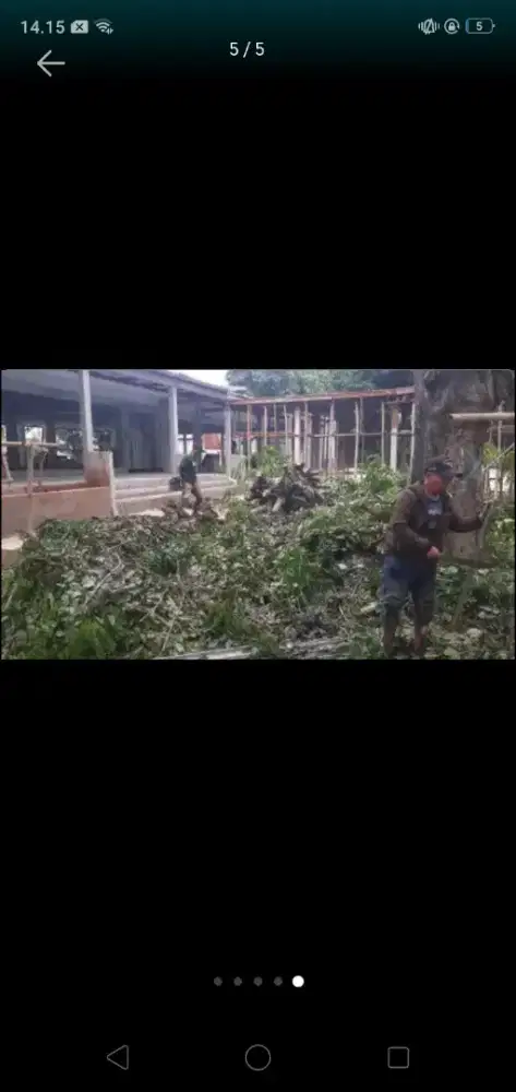 Jasa tebang pohon dan babat rumput
