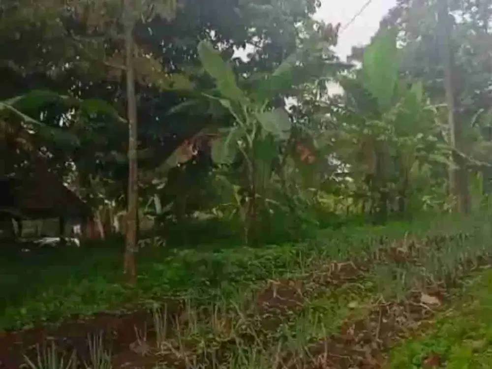 Tanah murah di trawas