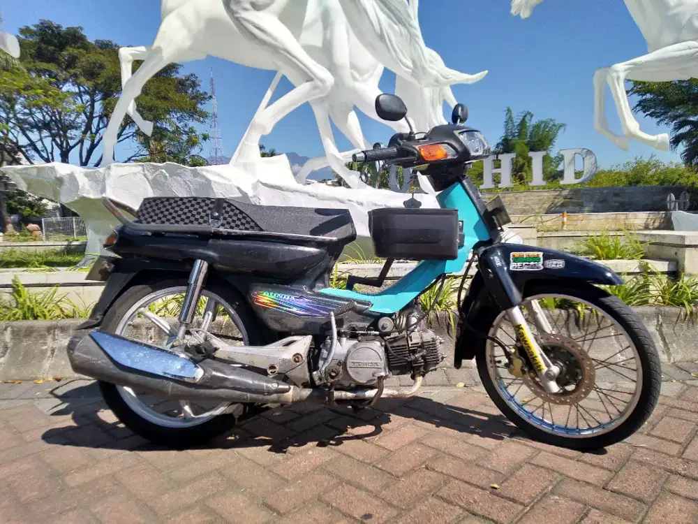 Grand bulus 1993
