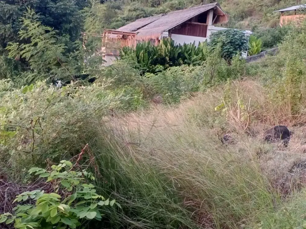 FOR SALE - Premium Sea View Land near Japanese Wreck Snorkeling Spot