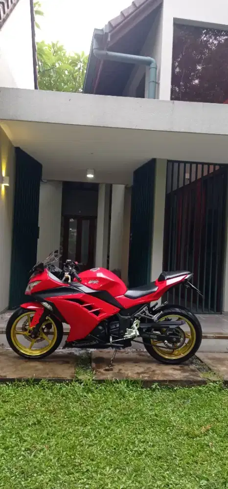 Ninja 250 F1 2015