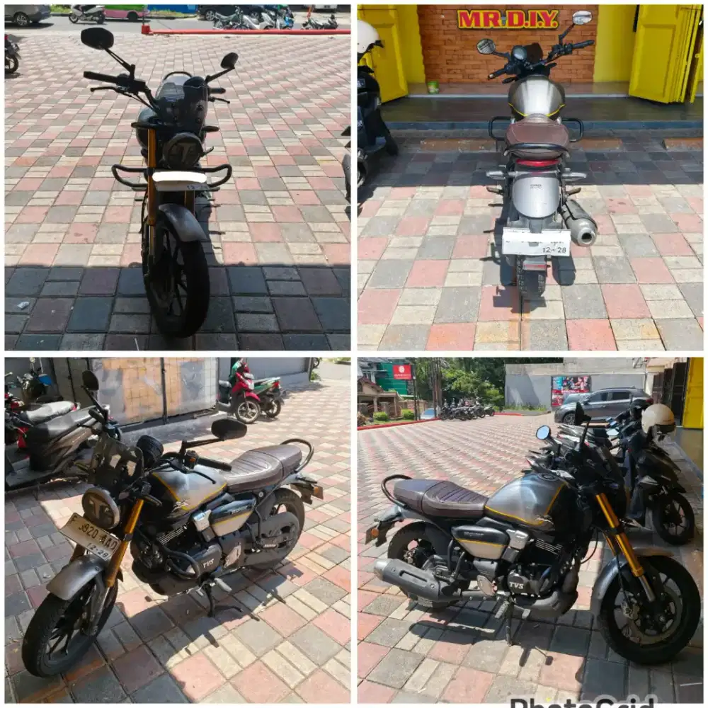 Motor TVS Ronin 225 TD