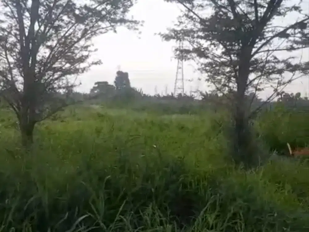 Dijual Lahan Pier Pasuruan