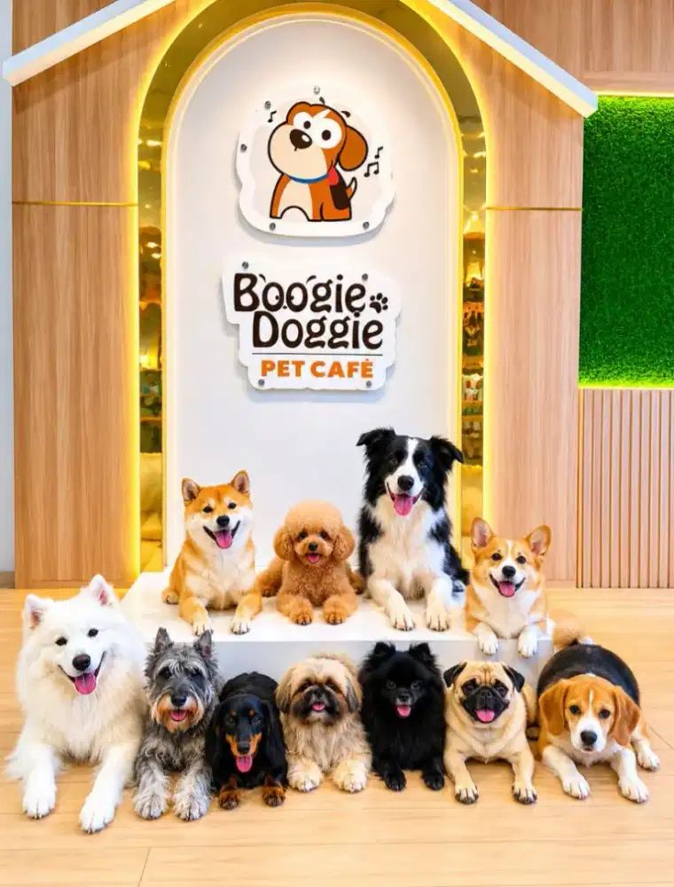 Lowongan Kerja Kennel