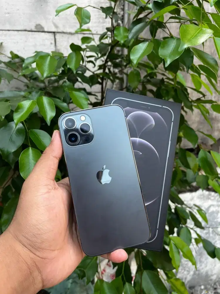 12 PROMAX 128GB EX INTER