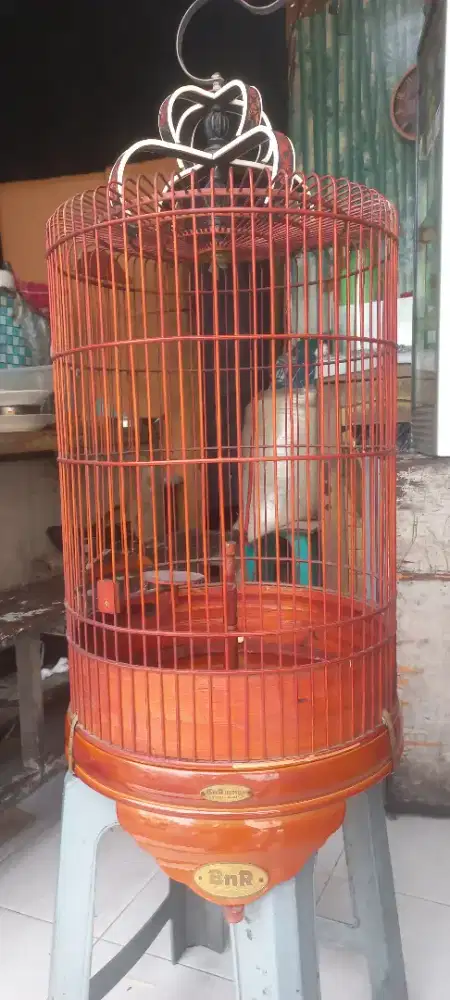 sangkar BNR buat BURUNG branjangan kondisi ISTIMEWA minus PEMAKAIAN